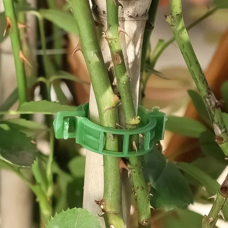 Plant Support Clips