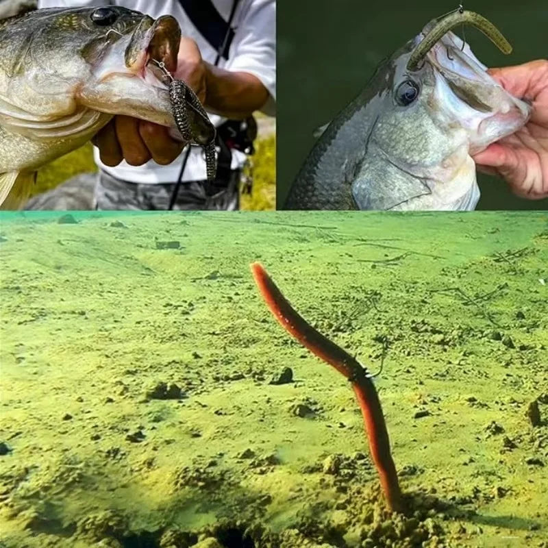 Soft Worm Fishing Lures Set 4"/5.5"