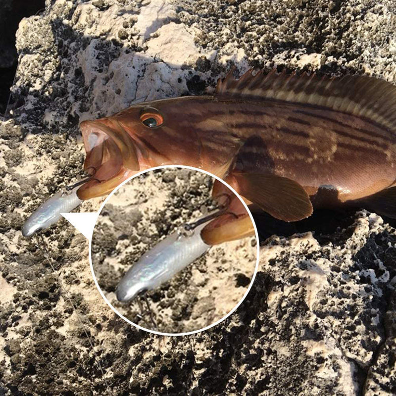 5PCS Soft Fishing Lure Kit 3.3in