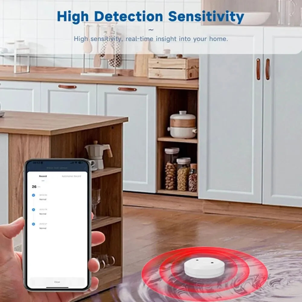 Smart Water Leak Sensor