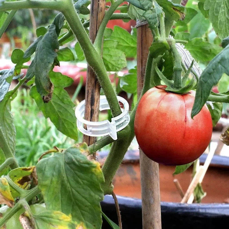Plant Support Clips