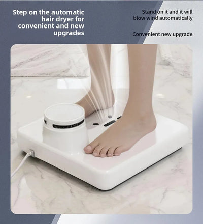 Electric Body Dryer