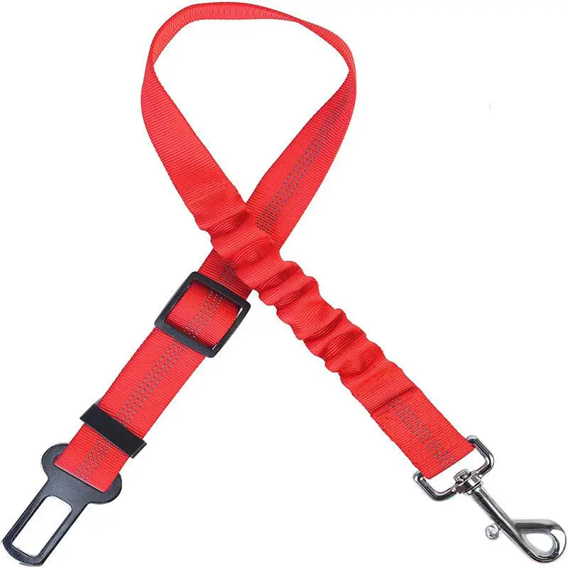 2-in-1 Bungee Dog Leash & Car Seat Belt