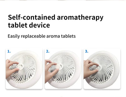 LED Ceiling Fan Light - 19cm