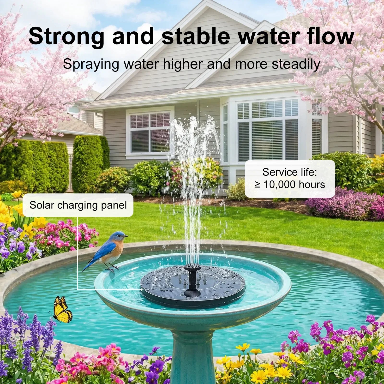 Solar Fountain Pump with LED Lights