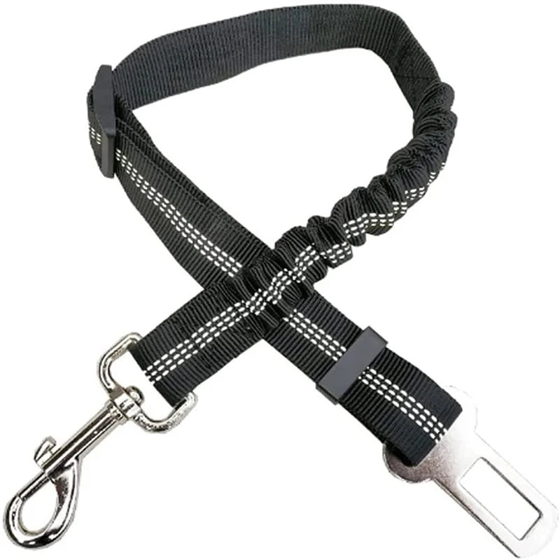 2-in-1 Bungee Dog Leash & Car Seat Belt