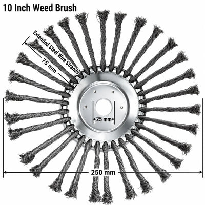 6/8/10 Inch Steel Wire Weed Trimmer Head
