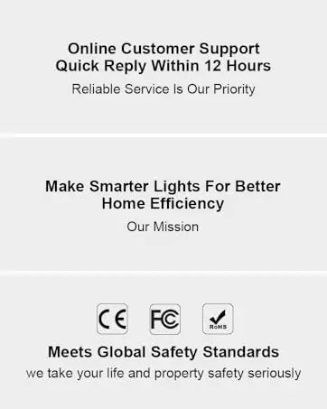 Motion Sensor Ceiling Light