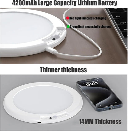 Motion Sensor Ceiling Light