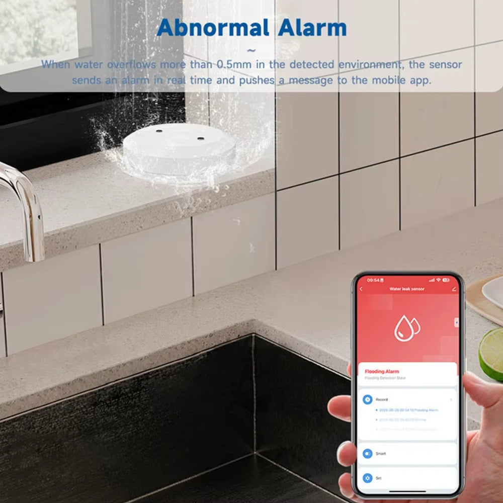 Smart Water Leak Sensor