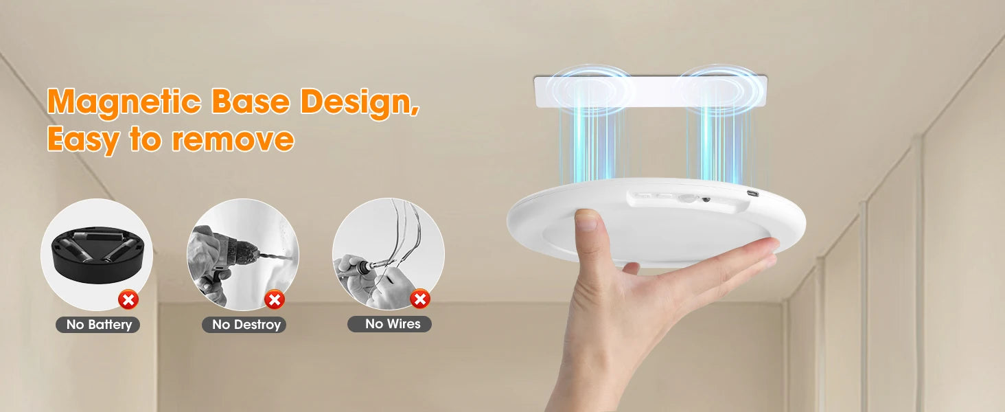 Motion Sensor Ceiling Light