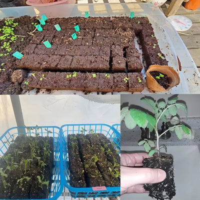 Handheld Soil Block Maker for Seedlings