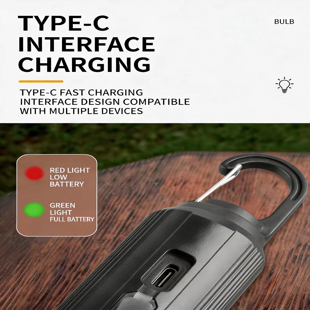 Bulb Light - Solar & Type-C Charging