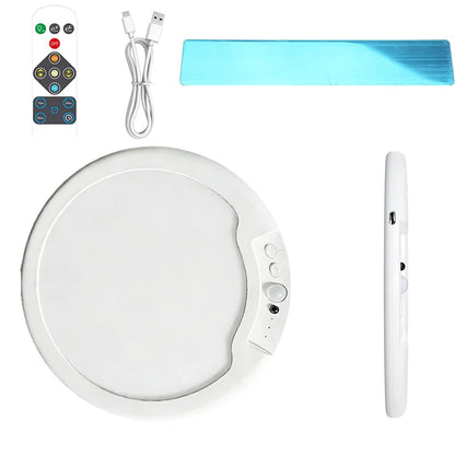 Motion Sensor Ceiling Light