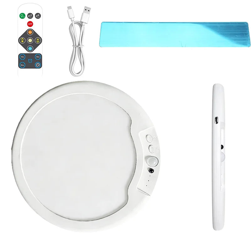 Motion Sensor Ceiling Light