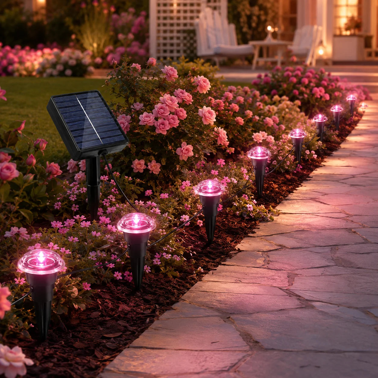 Solar Ground Stake Pathway Lights