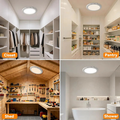 Motion Sensor Ceiling Light