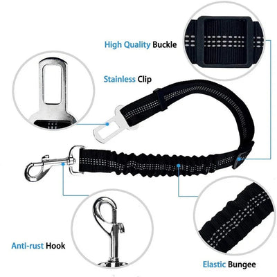 2-in-1 Bungee Dog Leash & Car Seat Belt