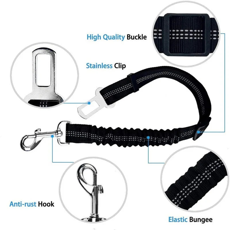 2-in-1 Bungee Dog Leash & Car Seat Belt