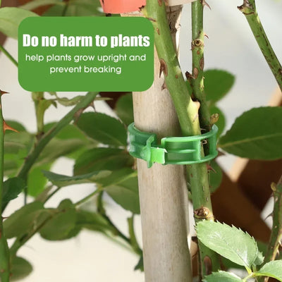 Plant Support Clips