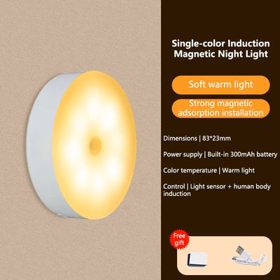 Rechargeable Motion Sensor LED Night Light