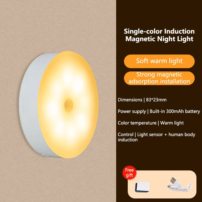 Rechargeable Motion Sensor LED Night Light