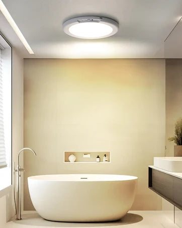 Motion Sensor Ceiling Light