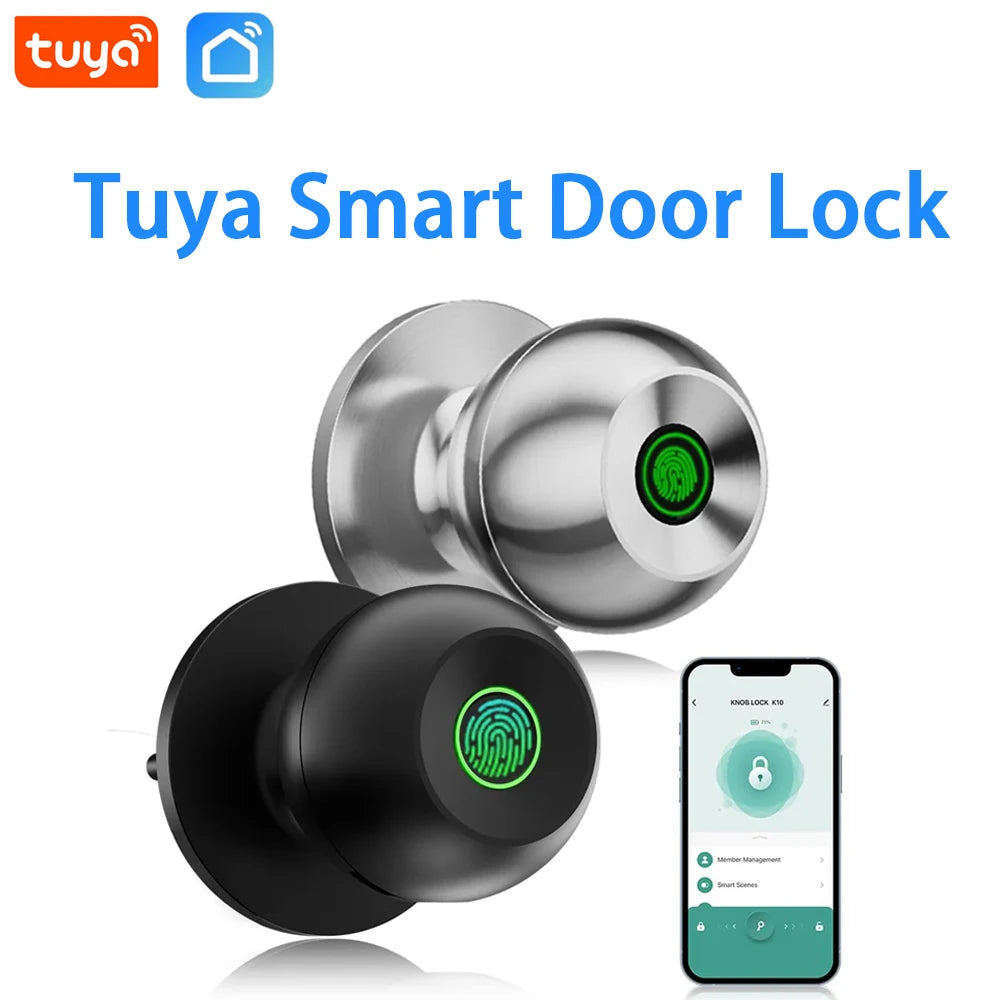 Smart Keyless Entry Door Lock (3-in-1)