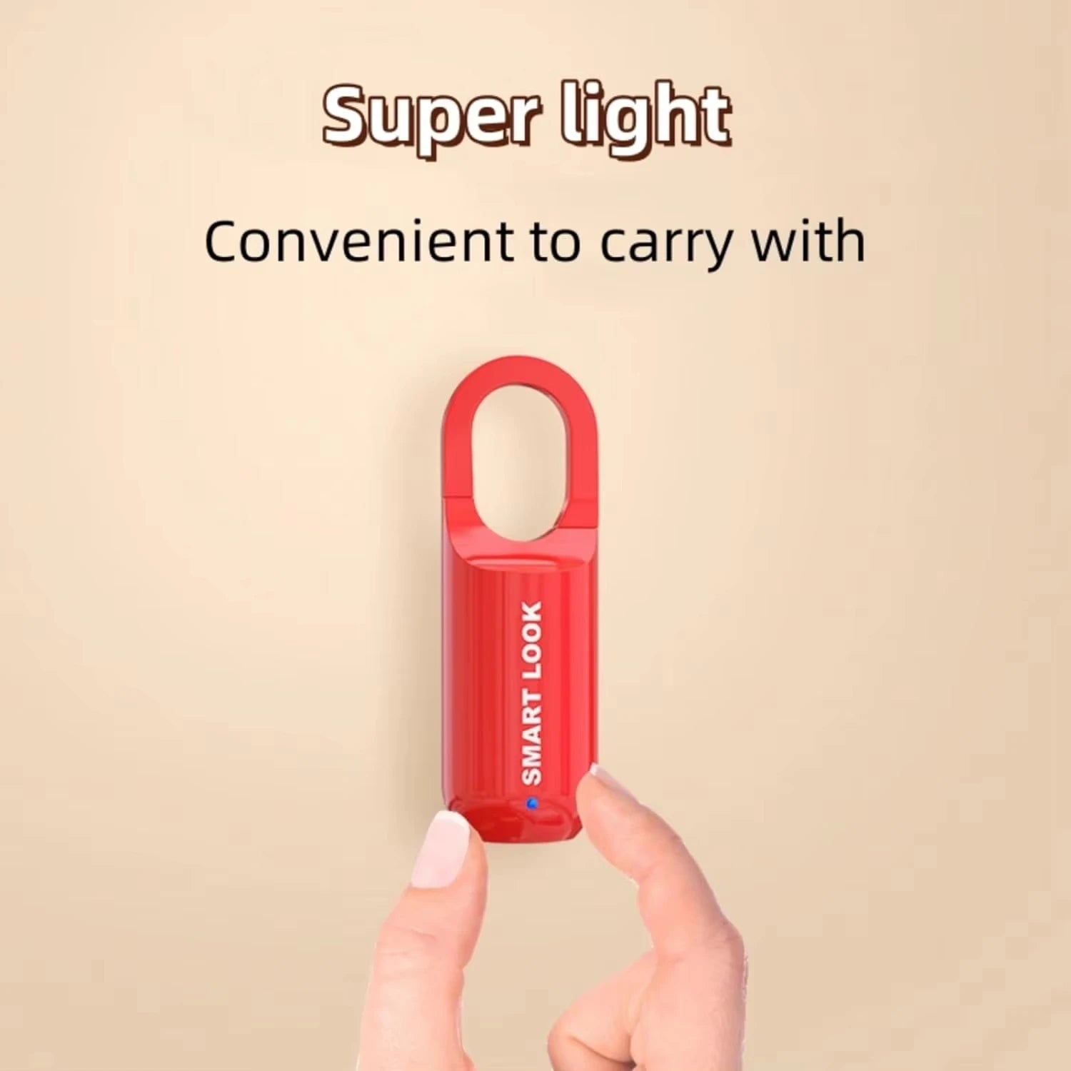 Mini Biometric Fingerprint Smart Padlock