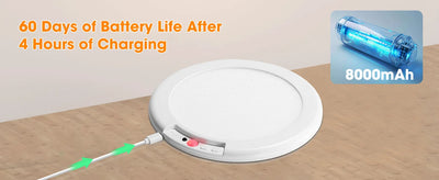 Motion Sensor Ceiling Light