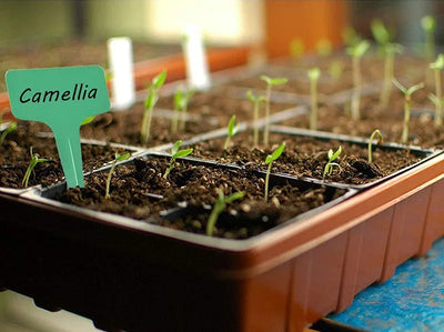 Handheld Soil Block Maker for Seedlings