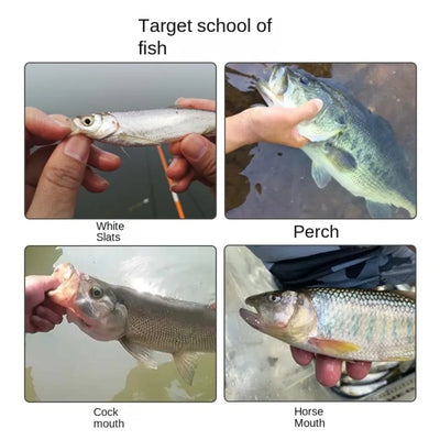 Fly Fishing Flies Set (20pcs)