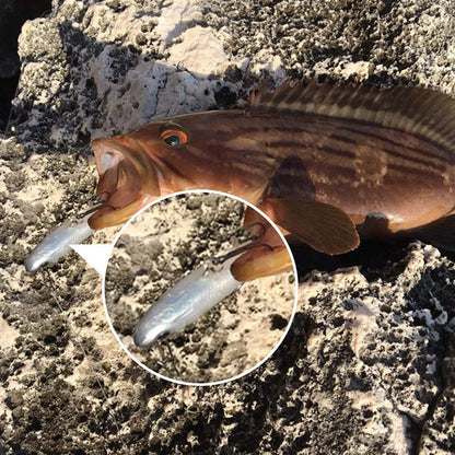 5PCS Soft Fishing Lure Kit 3.3in