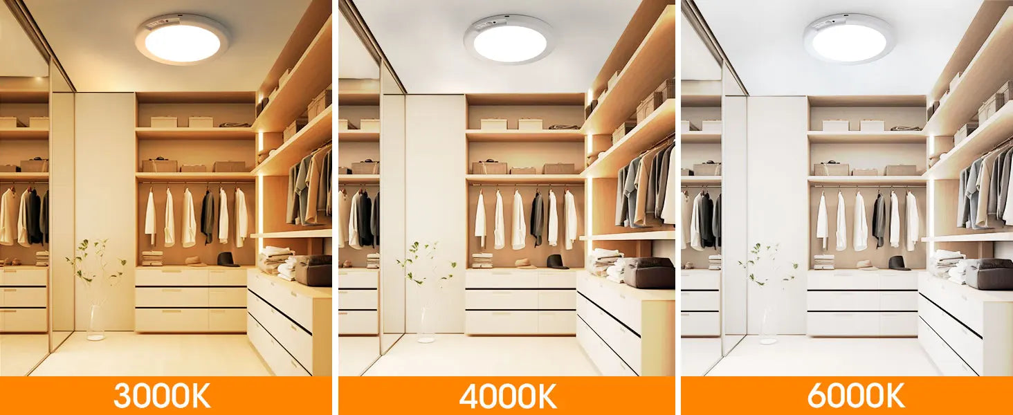 Motion Sensor Ceiling Light