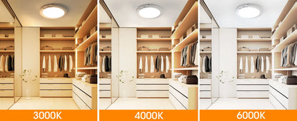 Motion Sensor Ceiling Light