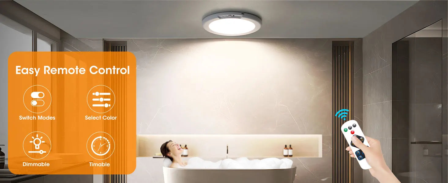 Motion Sensor Ceiling Light