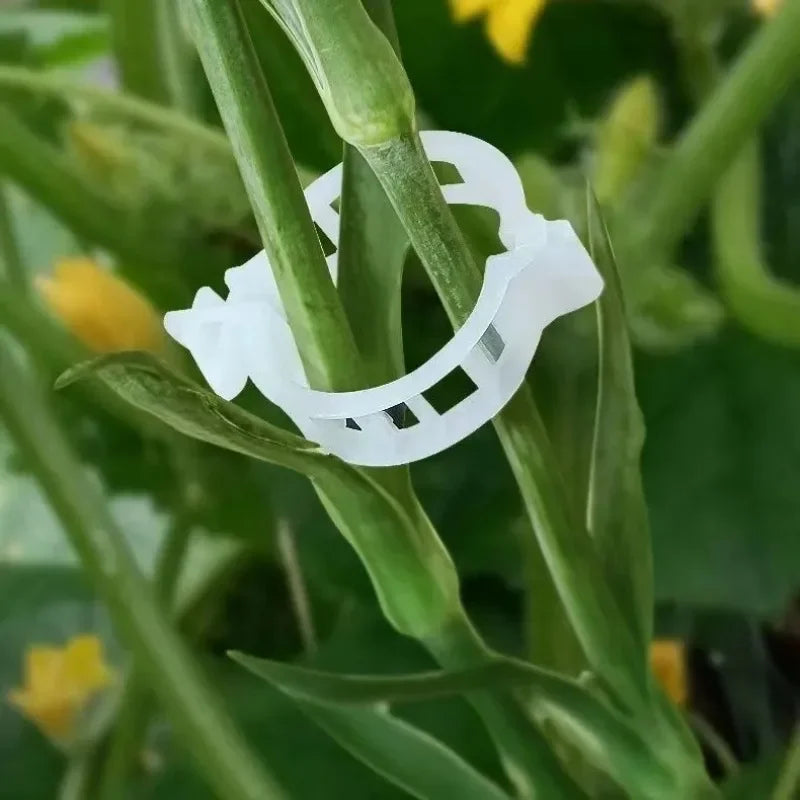 Plant Support Clips