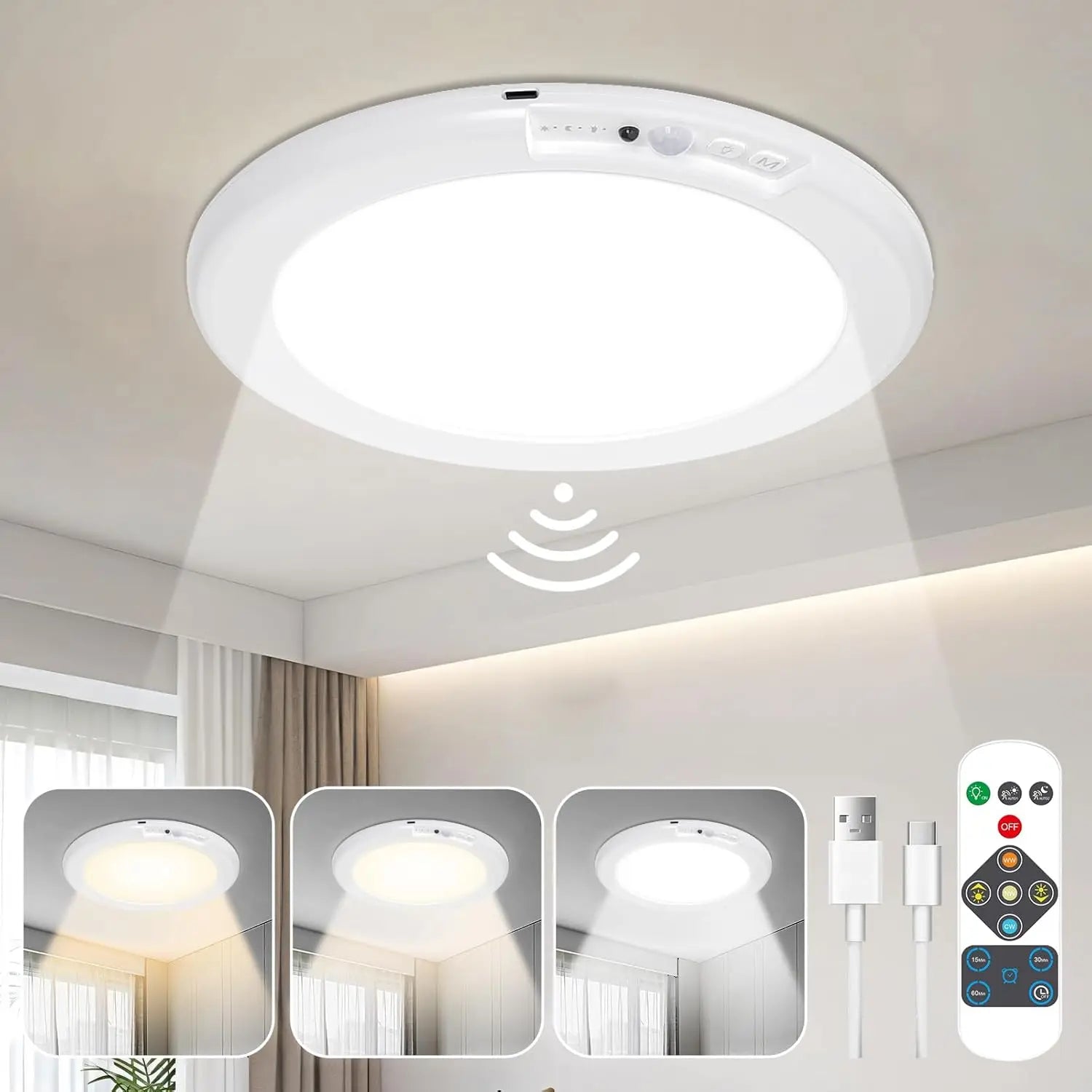Motion Sensor Ceiling Light