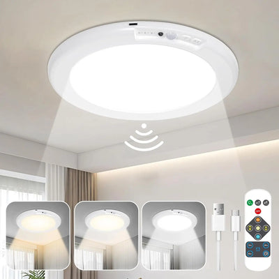 Motion Sensor Ceiling Light