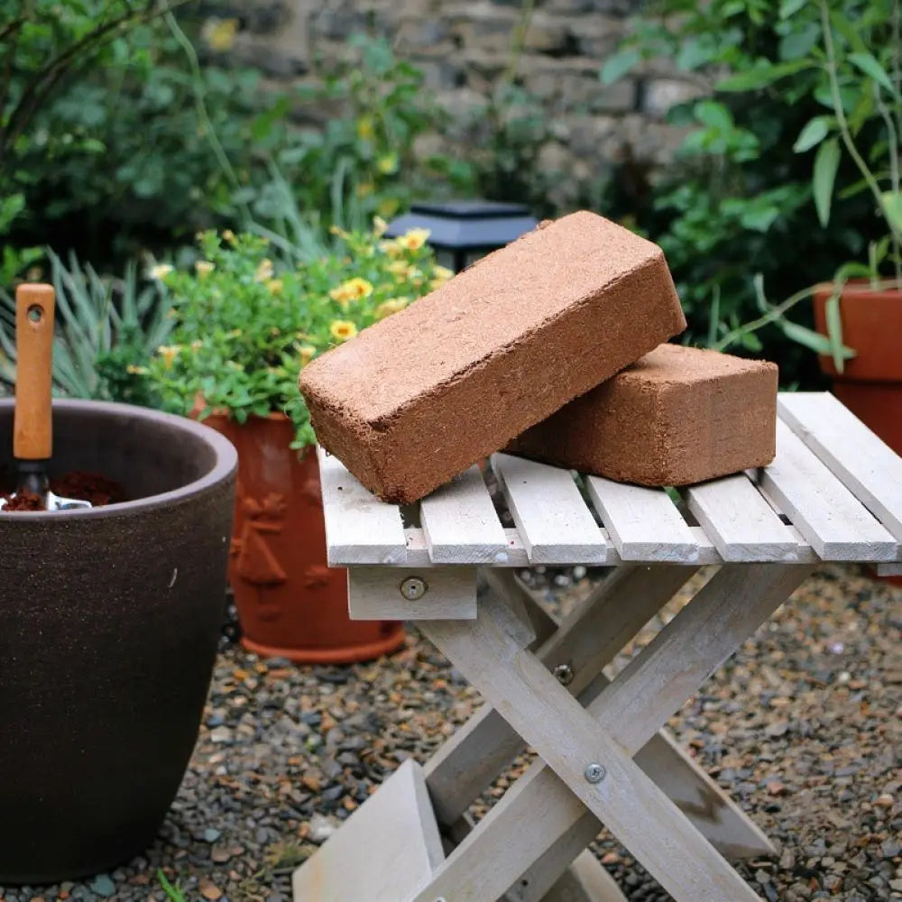 Compressed Coconut Coir Brick
