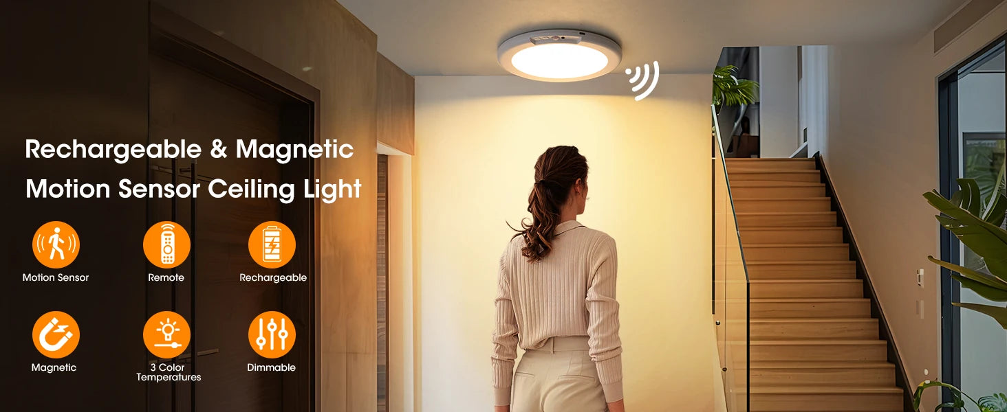 Motion Sensor Ceiling Light