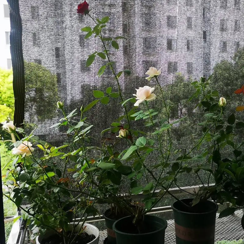 Sun Shade Net Cover