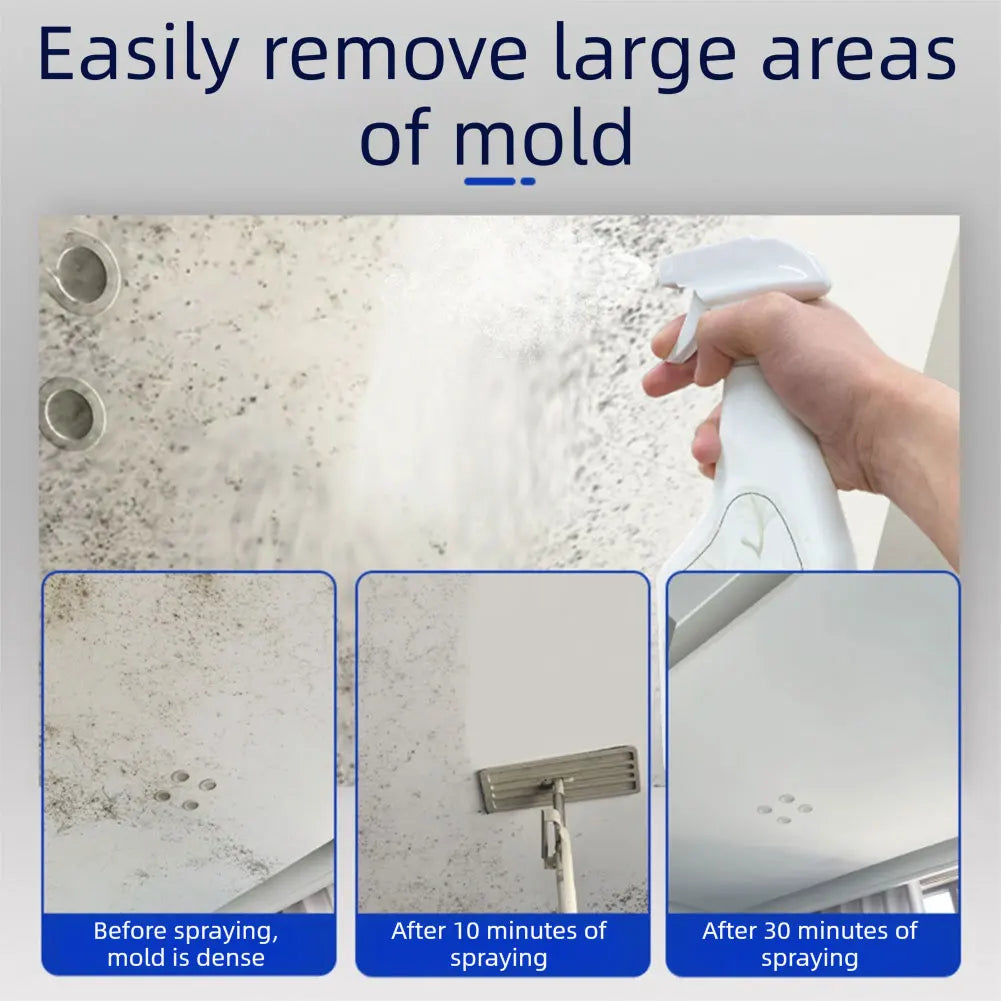 Mould Removal Spray