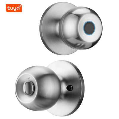 Smart Keyless Entry Door Lock (3-in-1)