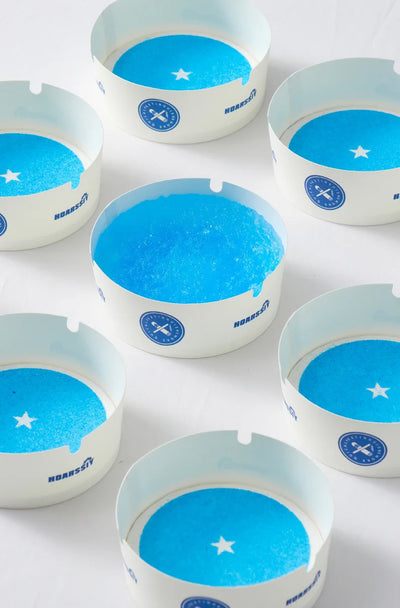 25PCS Disposable Water-Filled Ashtrays