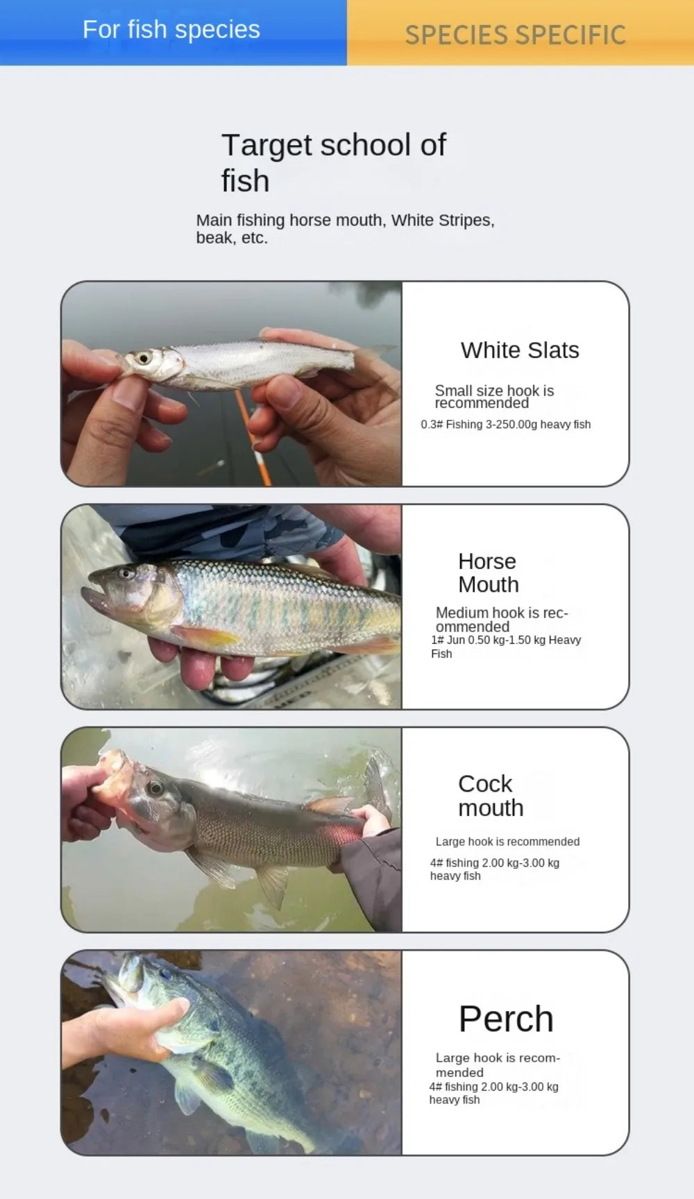 Fly Fishing Flies Set (20pcs)