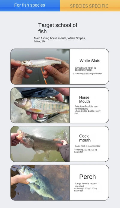 Fly Fishing Flies Set (20pcs)