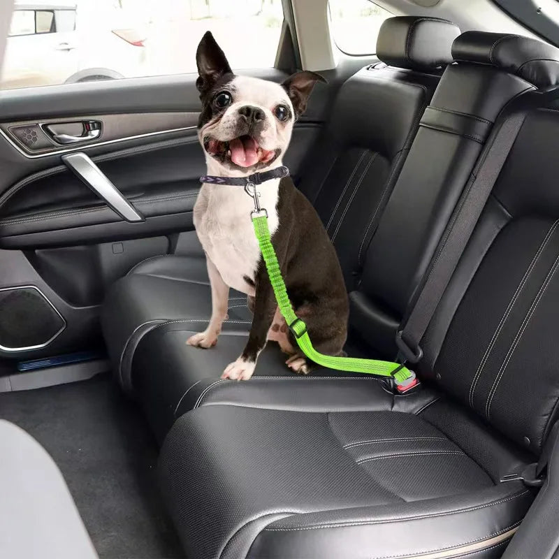 2-in-1 Bungee Dog Leash & Car Seat Belt