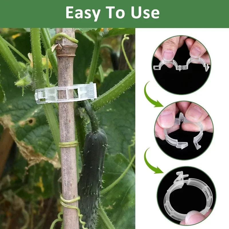 Plant Support Clips