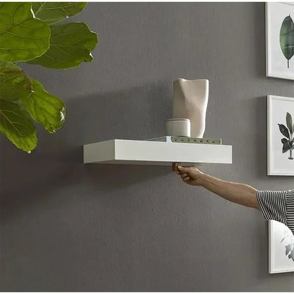 Secret Storage Shelf